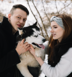 Хаски Блюз, катание на хаски