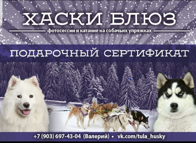 Познавательно-развлекательные экскурсии, аренда монгольской юрты и финского гриль-домика, катание на снегоходах и многое другое в «Хаски блюз» со скидкой до 50%! Познавательно-развлекательные экскурсии, аренда монгольской юрты и финского гриль-домика, катание на снегоходах и многое другое в «Хаски блюз» со скидкой до 50%!