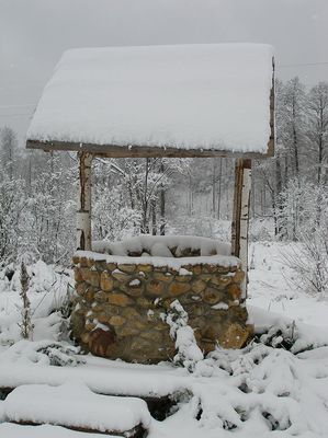 Загородный отдых Сафари Паркъ
