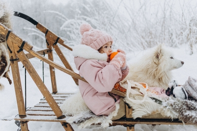 Хаски Блюз, катание на хаски