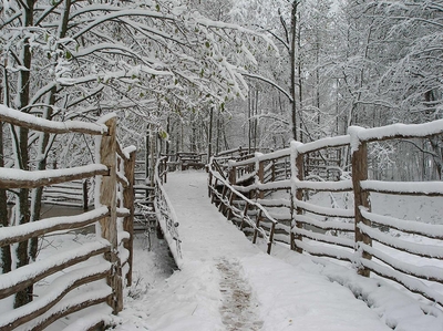 Загородный комплекс «Сафари Паркъ» дарит скидки 30% на отдых, развлечения и многое другое!