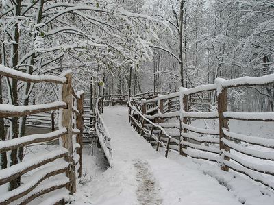 Загородный отдых Сафари Паркъ