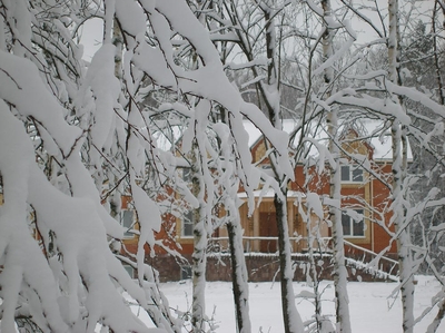 Загородный комплекс «Сафари Паркъ» дарит скидки 30% на отдых, развлечения и многое другое!