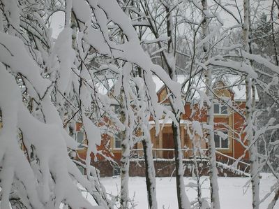 Загородный отдых Сафари Паркъ