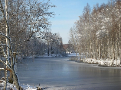 Загородный комплекс «Сафари Паркъ» дарит скидки 30% на отдых, развлечения и многое другое!