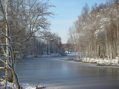 Загородный отдых Сафари Паркъ