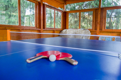 Тепло русской бани и уют деревянных домиков — Ваш идеальный отдых на базе «Берёзовая роща» со скидкой до 50%