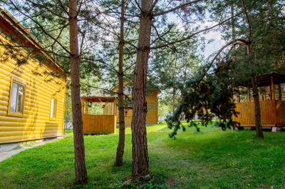 Проведите чудесные деньки в «Берёзовой роще» со скидкой 60% Проведите чудесные деньки в «Берёзовой роще» со скидкой 60%