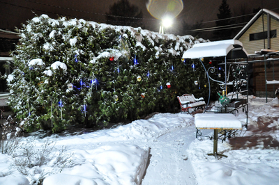 Отдыхаем в комплексе «Crazy веник»! Баня со скидкой до 18%