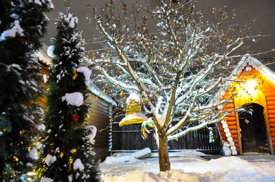 Отдыхаем в комплексе «Crazy веник»! Баня со скидкой до 18%