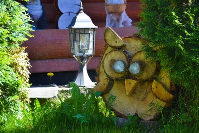 Крейзи веник (Crazy веник), банный комплекс