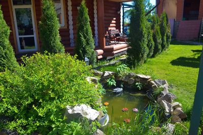 Крейзи веник (Crazy веник), банный комплекс