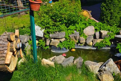 Крейзи веник (Crazy веник), банный комплекс