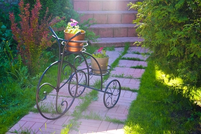 Крейзи веник (Crazy веник), банный комплекс