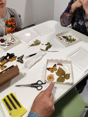 Выставка тропических бабочек и авторские мастер‑классы со скидкой до 28% Выставка тропических бабочек и авторские мастер‑классы со скидкой до 28%