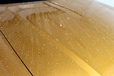 Студия «PRESTIGE»  дарит скидку 50% на химчистку и комплексы!