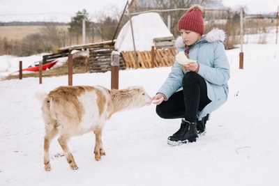 Познавательно-развлекательные экскурсии, аренда монгольской юрты и финского гриль-домика, катание на снегоходах и многое другое в «Хаски блюз» со скидкой до 50%! Познавательно-развлекательные экскурсии, аренда монгольской юрты и финского гриль-домика, катание на снегоходах и многое другое в «Хаски блюз» со скидкой до 50%!