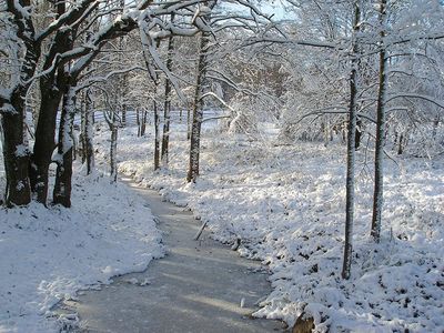 Загородный отдых Сафари Паркъ