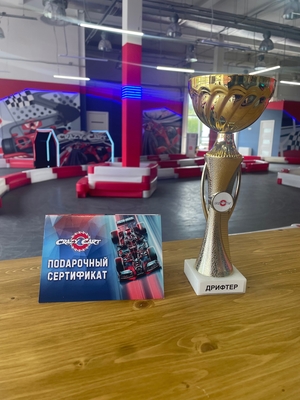 Невероятные эмоции для ребёнка в дрифт-картинге «Crazy Cart» со скидкой 50% Невероятные эмоции для ребёнка в дрифт-картинге «Crazy Cart» со скидкой 50%