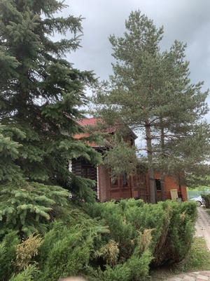 Отдохните душой и телом в эко-отеле «Кочаки»! Комфортабельные коттеджи и баня со скидкой до 50%!