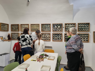 Выставка тропических бабочек и авторские мастер‑классы со скидкой до 28% Выставка тропических бабочек и авторские мастер‑классы со скидкой до 28%