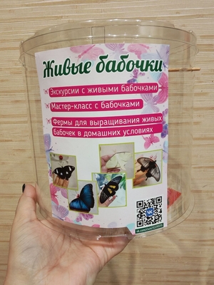 Выставка тропических бабочек и авторские мастер‑классы со скидкой до 28% Выставка тропических бабочек и авторские мастер‑классы со скидкой до 28%