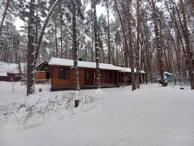 Тишина, покой и скидка 50% — Ваш идеальный отдых ждёт!