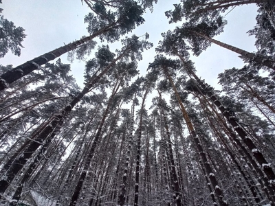 Тишина, покой и скидка 50% — Ваш идеальный отдых ждёт!