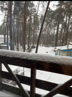 Тишина, покой и скидка 50% — Ваш идеальный отдых ждёт!