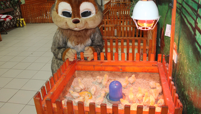 Трогательный зоопарк