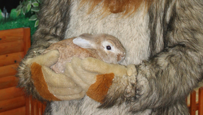 Трогательный зоопарк