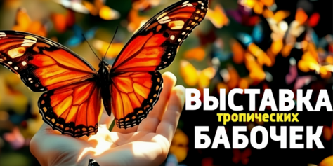 Выставка тропических бабочек и авторские мастер‑классы со скидкой до 40%
