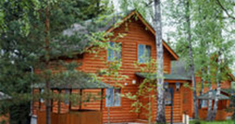 Берёзовая роща, база отдыха