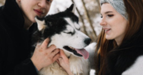 Хаски Блюз, катание на хаски