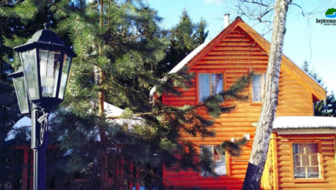 Тепло русской бани и уют деревянных домиков — Ваш идеальный отдых на базе «Берёзовая роща» со скидкой до 50%